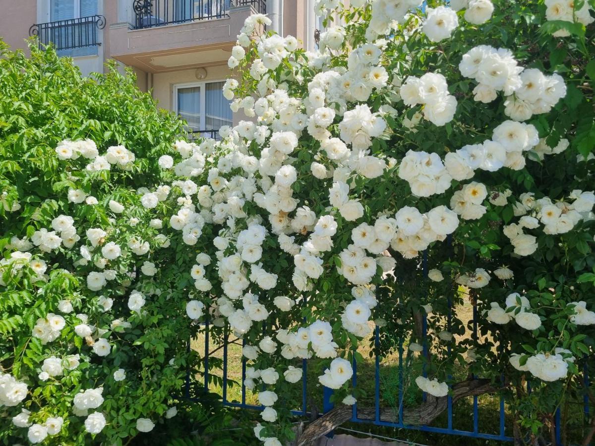 Studio Apartment With Balcony 300M From Beach Sunny Beach Exterior foto